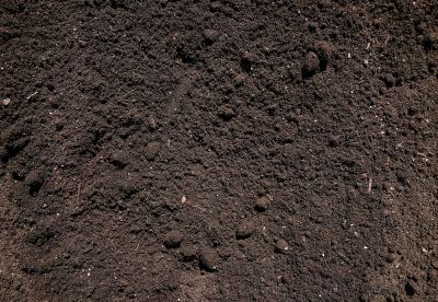 Dirt Installation